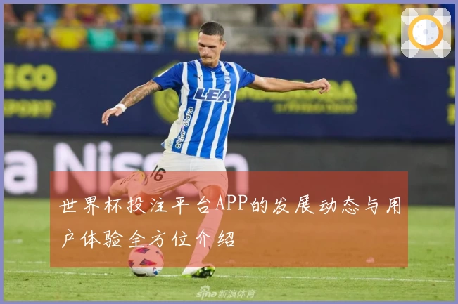 世界杯投注平台APP的发展动态与用户体验全方位介绍