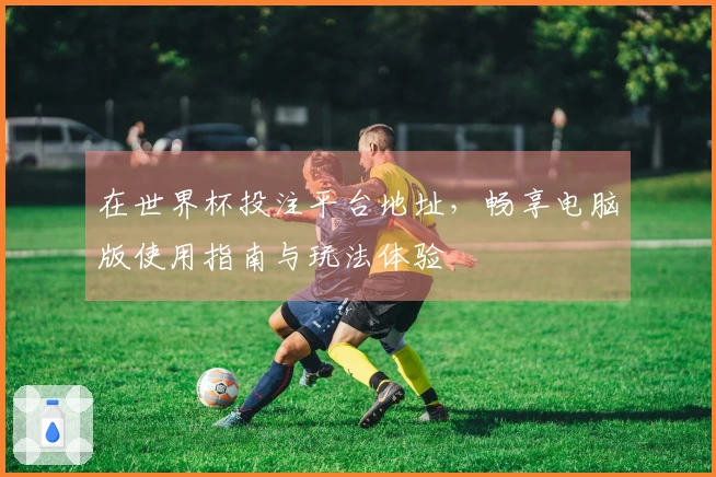 在世界杯投注平台地址，畅享电脑版使用指南与玩法体验