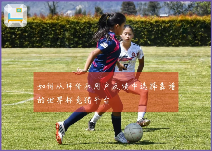 如何从评价和用户反馈中选择靠谱的世界杯竞猜平台