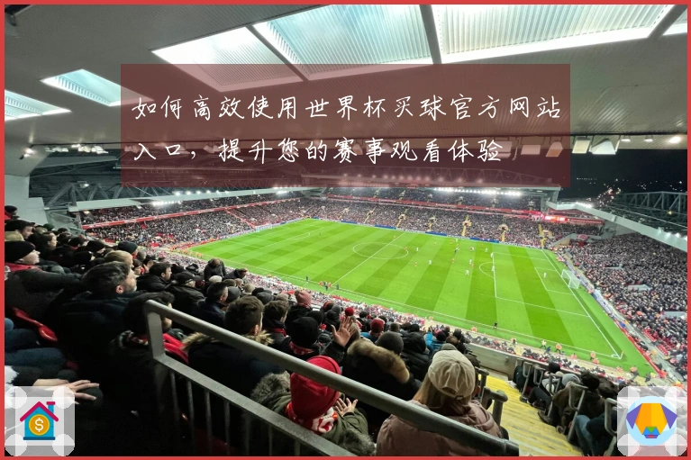 如何高效使用世界杯买球官方网站入口，提升您的赛事观看体验