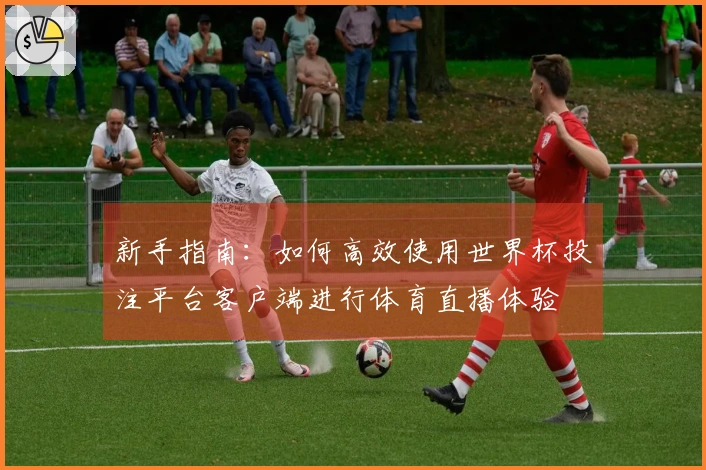 新手指南：如何高效使用世界杯投注平台客户端进行体育直播体验