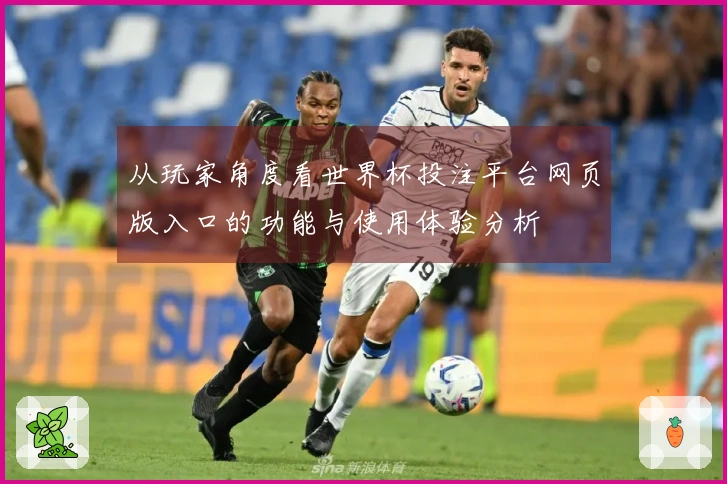 从玩家角度看世界杯投注平台网页版入口的功能与使用体验分析