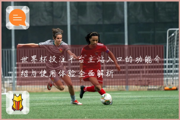 世界杯投注平台主站入口的功能介绍与使用体验全面解析