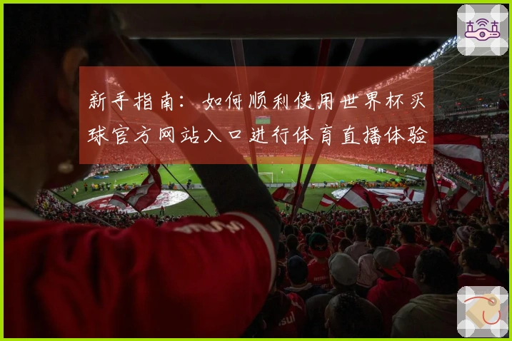 新手指南：如何顺利使用世界杯买球官方网站入口进行体育直播体验