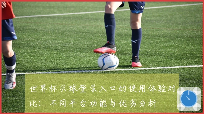 世界杯买球登录入口的使用体验对比：不同平台功能与优劣分析