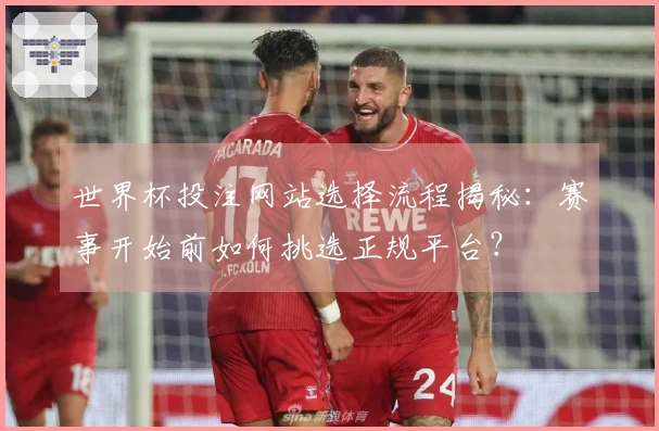 世界杯投注网站选择流程揭秘：赛事开始前如何挑选正规平台？