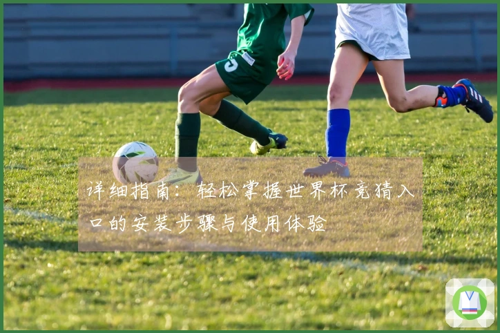 详细指南：轻松掌握世界杯竞猜入口的安装步骤与使用体验