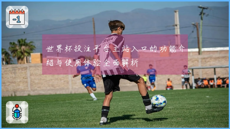 世界杯投注平台主站入口的功能介绍与使用体验全面解析