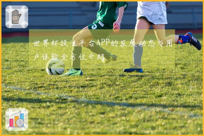 世界杯投注平台APP的发展动态与用户体验全方位介绍