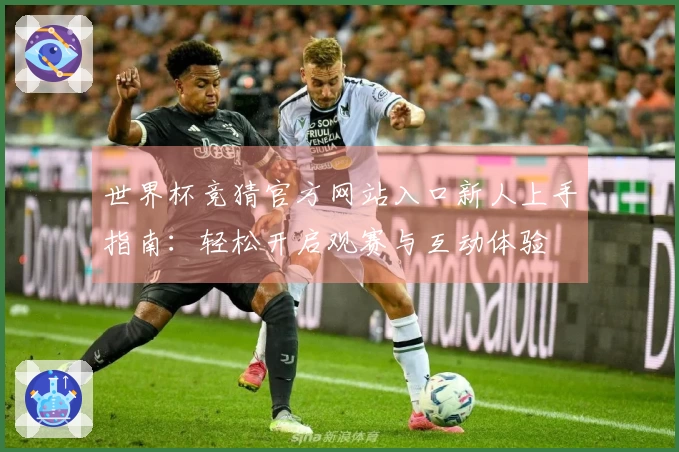 世界杯竞猜官方网站入口新人上手指南：轻松开启观赛与互动体验