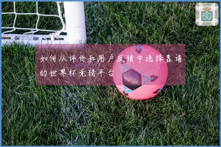 如何从评价和用户反馈中选择靠谱的世界杯竞猜平台