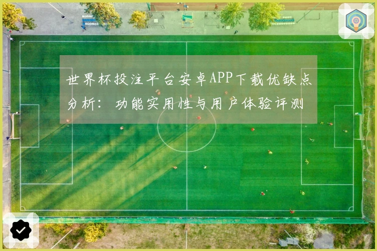 世界杯投注平台安卓APP下载优缺点分析：功能实用性与用户体验评测
