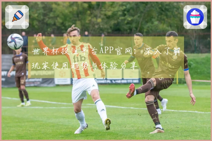 世界杯投注平台APP官网：深入了解玩家使用趋势与体验分享
