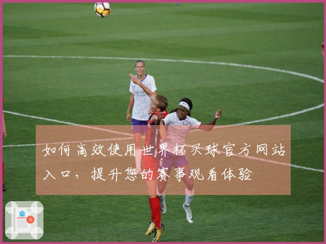 如何高效使用世界杯买球官方网站入口，提升您的赛事观看体验